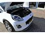 Ford Puma 1.0T 125pk ECOBOOST Hybrid Titanium X | trekhaak, driver assistance pack, B&O
