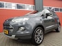 Ford EcoSport 1.0 EcoBoost Titanium 126PK Clima Cruise Navi LMV Half-Leer Hoge-Instap/Zit