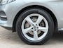 Mercedes-Benz GLE 250 d 4MATIC / Pano / Trekhaak /