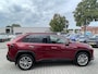 Toyota RAV4 2.5 Hybrid AWD Executive trekhaak