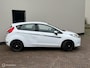 Ford Fiesta 1.25 Titanium 5 deurs met zeker 5 deukjes !