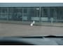 Nissan Qashqai 1.3 MHEV 158pk Xtronic Premiere Edition | Navi | Panoramadak | Trekhaak | Camera | Dodehoek Detectie | PDC