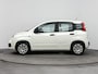 Fiat Panda 1.2 Edizione Cool Airco |