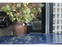 Land Rover Range Rover Sport P575 SVR | Carbon interieur, Meridian Audio, Adaptive Cruise Control, Zitklima, Stuurverwarming, Pano