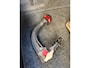 Volkswagen Golf 2.0 GTI / AUT / Xenon / PDC / Dynaudio / LED / Stoelverwarming