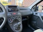 Fiat Panda 1.2 Active NIEUWE APK / RIJDT GOED / D-RIEM V.V. IN 2024