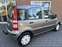 Fiat Panda 1.2 Active NIEUWE APK / RIJDT GOED / D-RIEM V.V. IN 2024