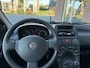 Fiat Panda 1.2 Active NIEUWE APK / RIJDT GOED / D-RIEM V.V. IN 2024