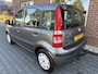 Fiat Panda 1.2 Active NIEUWE APK / RIJDT GOED / D-RIEM V.V. IN 2024
