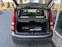 Fiat Panda 1.2 Active NIEUWE APK / RIJDT GOED / D-RIEM V.V. IN 2024