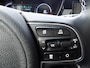 Kia Niro EV e-Niro 64kWh 204pk AUTOMAAT DynamicPlusLine 25.000km SOH 100%
