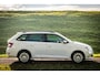 Skoda Fabia Combi 1.0 TSI Business Edition |Bak gereviseerd!
