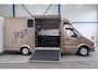 Mercedes-Benz Sprinter 313 2.2 CDI 432 - Paardenwagen, Horsetruck, Hengstenuitvoering.