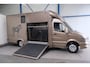 Mercedes-Benz Sprinter 313 2.2 CDI 432 - Paardenwagen, Horsetruck, Hengstenuitvoering.