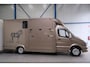 Mercedes-Benz Sprinter 313 2.2 CDI 432 - Paardenwagen, Horsetruck, Hengstenuitvoering.