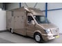 Mercedes-Benz Sprinter 313 2.2 CDI 432 - Paardenwagen, Horsetruck, Hengstenuitvoering.