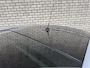 Nissan Qashqai 1.2 Tekna | Trekhaak | Panoramadak | Leder | 360° Camera |