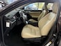 Lexus CT 200h Business L. Pro Bovag Automaat