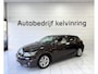 Lexus CT 200h Business L. Pro Bovag Automaat