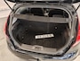 Ford Fiesta 1.0 EcoBoost Titanium Trekhaak Allseason 17''LM  Navi