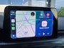 Ford Focus 1.0 EcoBoost ST-Line Black Automaat|Applecarplay|Stoel en Stuurverwarming|Cruise