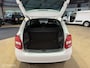 Skoda Fabia Combi 1.4 TSI RS AUT/CLIMA/CRUISE/DAKJE/STOELVER