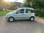 Fiat Panda 1.2 Edizione Cool