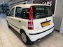 Fiat Panda 1.2 Edizione Cool | NW APK | Distri V.V. |5-Deurs