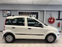 Fiat Panda 1.2 Edizione Cool | NW APK | Distri V.V. |5-Deurs