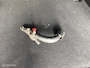 Citroën Berlingo combi 1.2 PureTech Shine