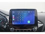 Ford Fiesta 94 PK Active X Bang&Olufsen Climate Carplay Navi DAB