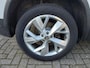 Skoda Kodiaq 1.5 TSI Business Edition Plus AUTOMAAT