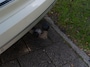 Volvo XC90 2.0 T8 Twin Engine AWD INSCRIPTION - 7 PERS - PANORAMA - 360 CAMERA - FULL OPTION