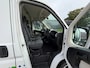 Fiat Ducato 30 2.3 MultiJet L2H2 VEILING-AUCTION