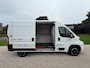 Fiat Ducato 30 2.3 MultiJet L2H2 VEILING-AUCTION
