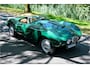 Arnold-Bristol Roadster Bolide S0013 - M1235
