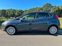 Ford Fiesta 1.0 EcoBoost Titanium DEALER onderhouden|1ste eigenaar