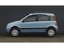 Fiat Panda 1.2 4x4 Blauw