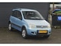 Fiat Panda 1.2 4x4 Blauw