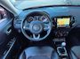 Jeep Compass 1.4 MultiAir Night Eagle | Trekhaak | Navi | Camera