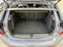BMW 1-Serie 118i Business ed. Panodak | LEER