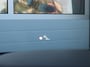 Kia Sorento 1.6 T-GDI Plug-in 265PK Hybrid 4WD ExecutiveLine 7persoons SOH 97%