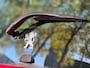 Peugeot 107 1.0-12V XS 1e Eigenaar 5 DRS 100% onderhouden Nwe Koppeling + uitlaat