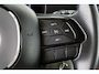 Fiat Panda 1.0 Hybrid Pandina Airco Apple CarPlay Cruise Control