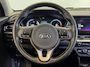 Kia Niro EV e-Niro DynamicPlusLine 64 kWh | SOH 96% | 3 Fase | Warmtepomp | Trekhaak afneembaar