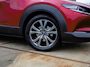Mazda CX-30 2.0 e-SkyActiv-X M Hybrid Luxury ACC Keyless Leder Stuur/ Stoelverwarming