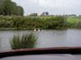 Mazda CX-30 2.0 e-SkyActiv-X M Hybrid Luxury ACC Keyless Leder Stuur/ Stoelverwarming