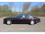 Daimler Double Six Jaguar 6.0 V12 6.0 V12