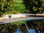 Rolls-Royce Wraith 6.6 V12