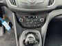 Ford C-Max 1.0 EcoBoost 125pk Titanium (NIEUWE DISTRIBUTIE)